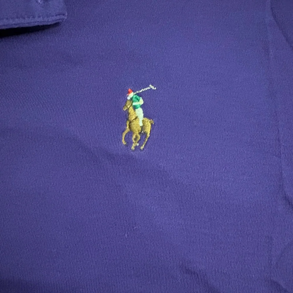 Polo Ralph Lauren Mens Classic Fit Purple Short Sleeve Pony Logo Polo Shirt L